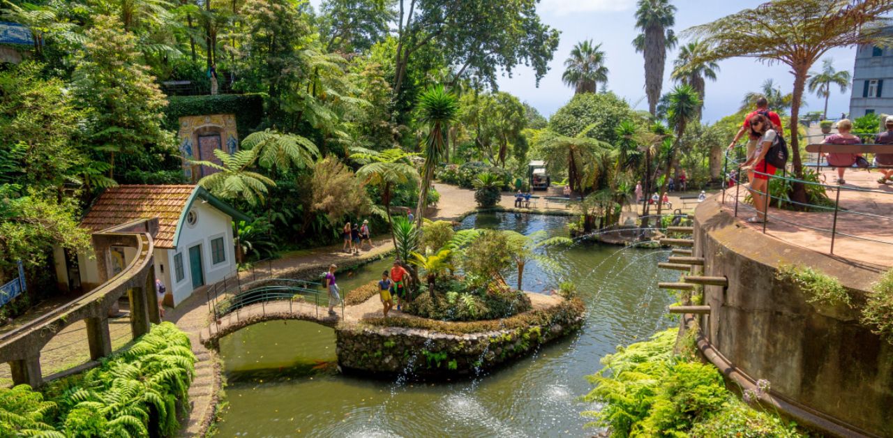 Condor Airlines  Funchal Office in Portugal