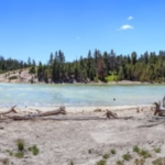 Tame Airlines Sour Lake Office in USA