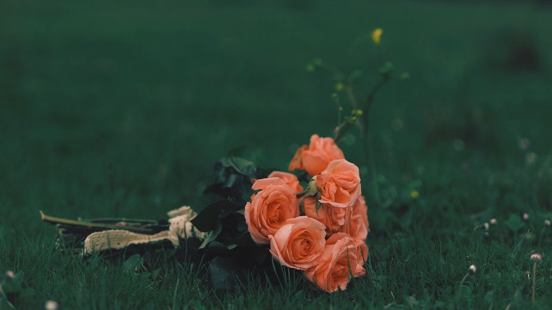 Xiamen Airlines Malaysia Office