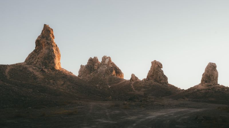 Wingo Airlines Armenia Office in Colombia