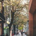 Zagros Airlines Jabalpur Office in India