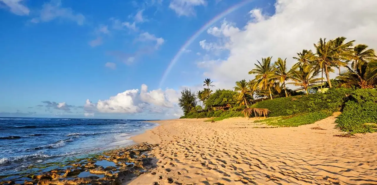 Turkish Airlines Minneapolis Office in Minnesota