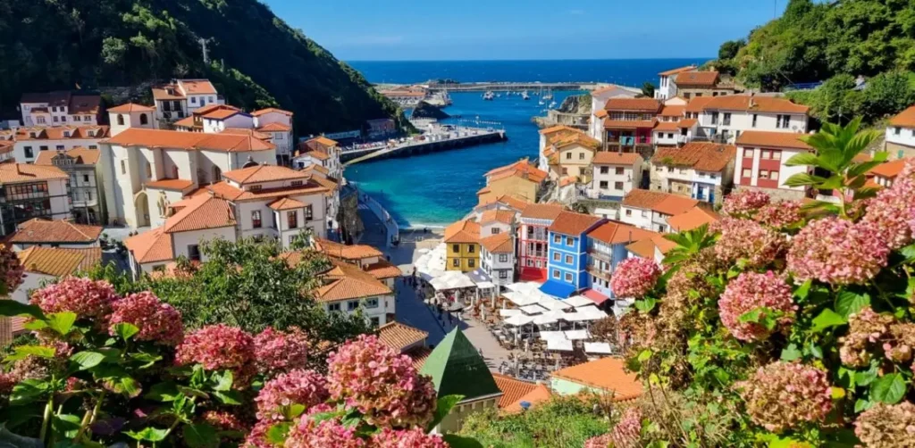 Turkish Airlines Chisinau Office in Moldova