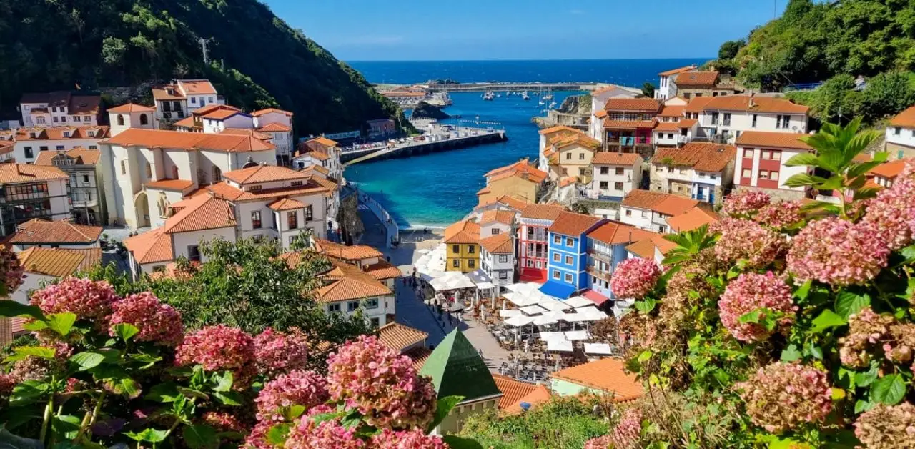 Turkish Airlines Chisinau Office in Moldova