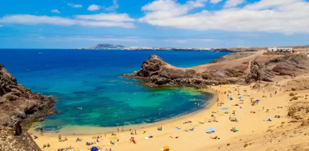 Turkish Airlines Cairo Office in Egypt